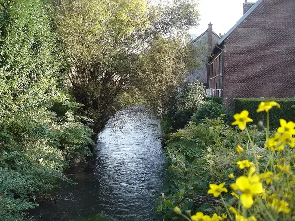 Isolation Façade Copropriété Isolation extérieure façade copropriété Déville-lès-Rouen