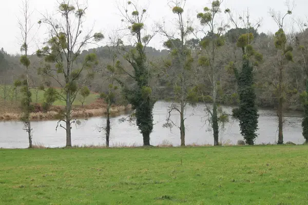 Isolation Façade Copropriété Isolation extérieure façade copropriété Muzillac